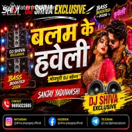 Balalm Ke Haveli (Bass Boosted 2026) DJ Shiva Exclusive